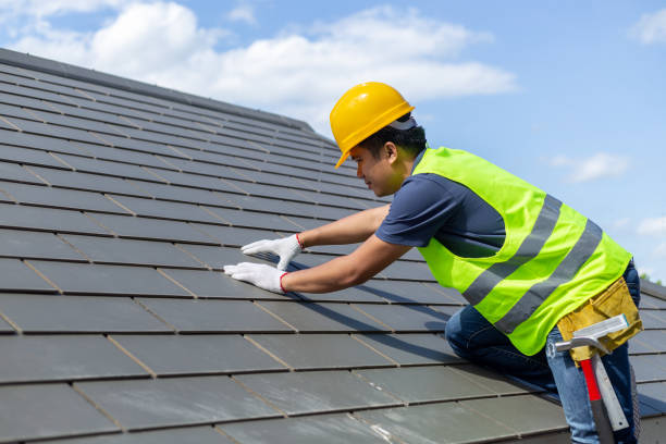 Best Roof Gutter Cleaning  in Coloma, MI