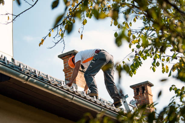 Best Local Roofing Companies  in Coloma, MI