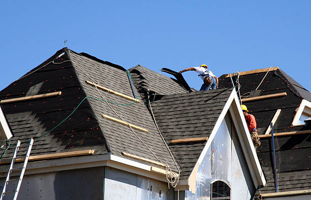 Best Roof Repair Services  in Coloma, MI