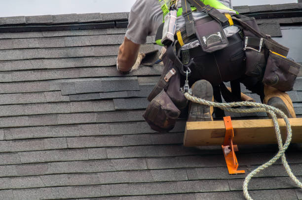 Best Residential Roofing Contractor  in Coloma, MI