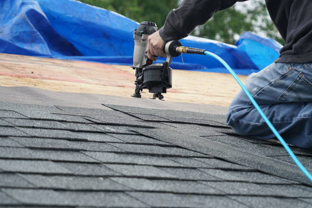 Best Roofing Contractor Near Me  in Coloma, MI