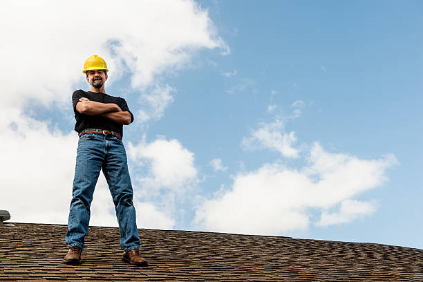 Best Roof Maintenance Services  in Coloma, MI