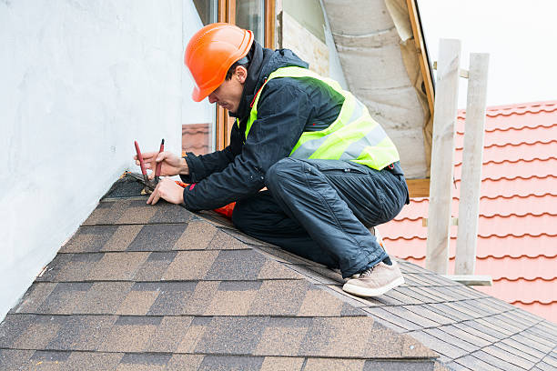 Best Roof Repair Services  in Coloma, MI