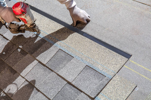 Best Local Roofing Companies  in Coloma, MI