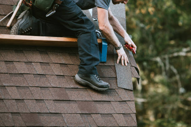 Best Residential Roofing Contractor  in Coloma, MI